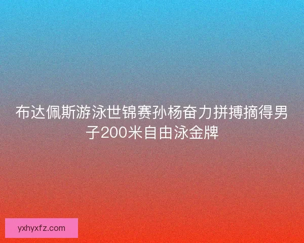 布达佩斯游泳世锦赛孙杨奋力拼搏摘得男子200米自由泳金牌